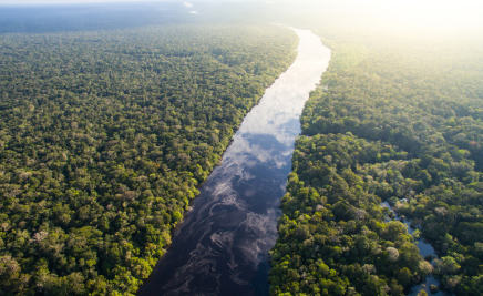 Amazonas-Fluss​