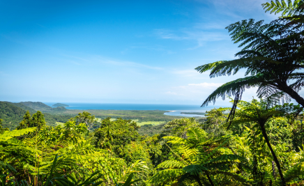 Daintree-Nationalpark​