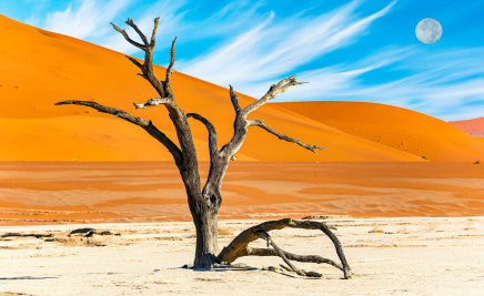 Der Namib-Naukluft-Park​